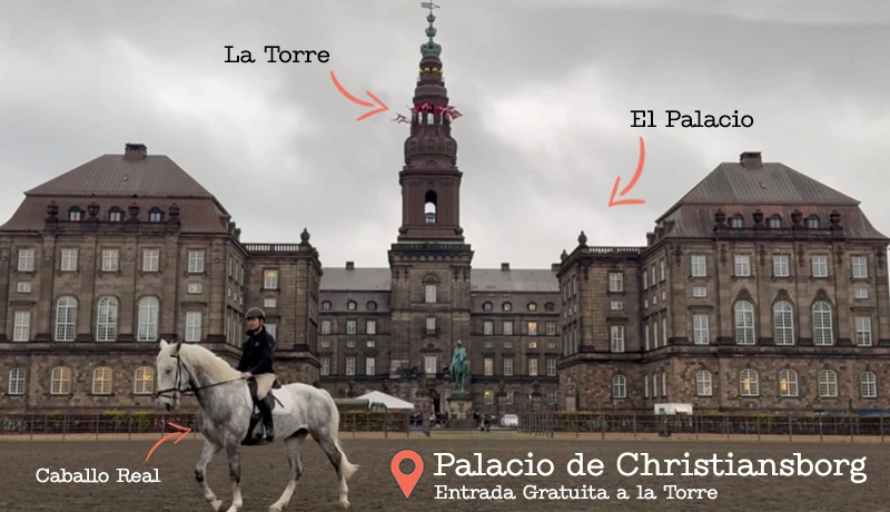 Entrenamiento de un Caballo Real en el Palacio de Christianborg de Copenhague