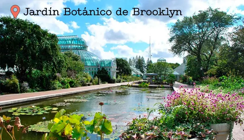 Uno de los mejores parques de Nueva York, el Jardín Botánico de Brooklyn