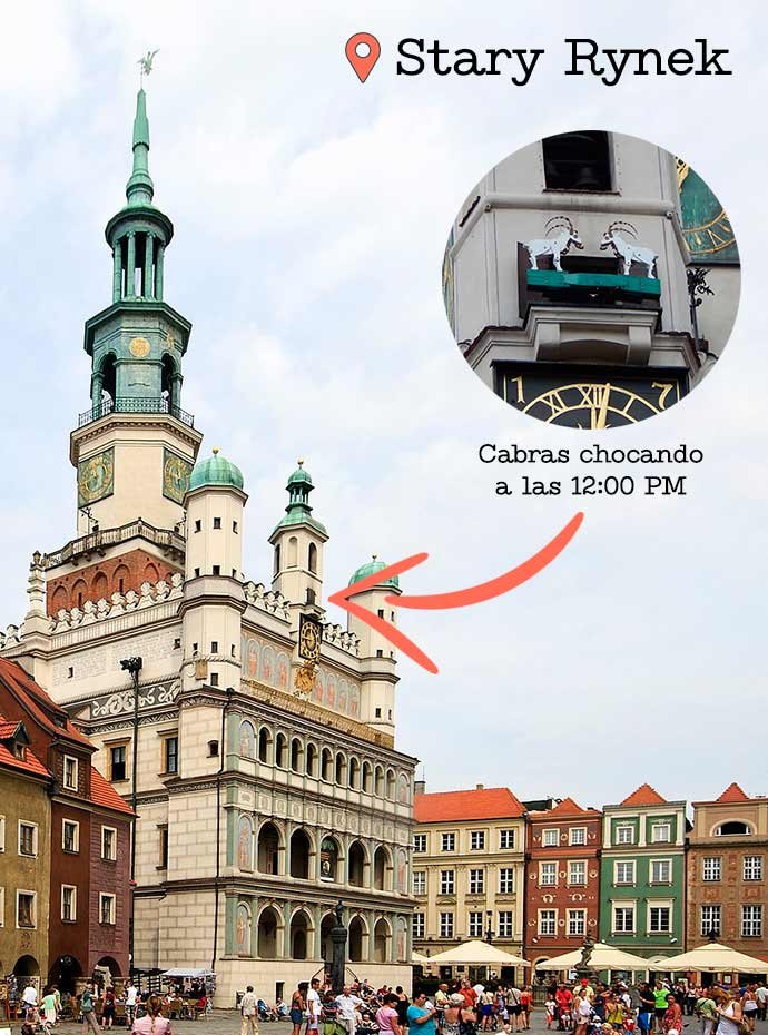 Detalle del reloj del Ayuntamiento de Poznan con las dos cabras mecánicas chocando sus cuernos.