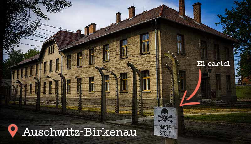 Foto de la visita a Auschwitz Birkenau en un día
