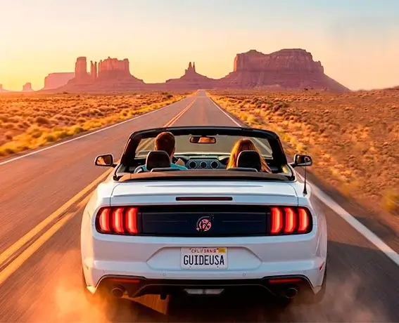 Elegir Coche en Estados Unidos