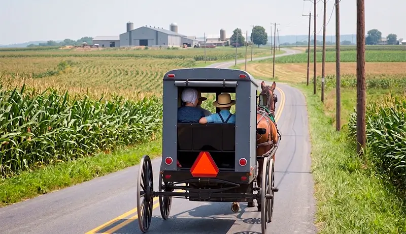 Una calesa Amish circulando por una carretera rural entre campos de maíz, en Lancaster County