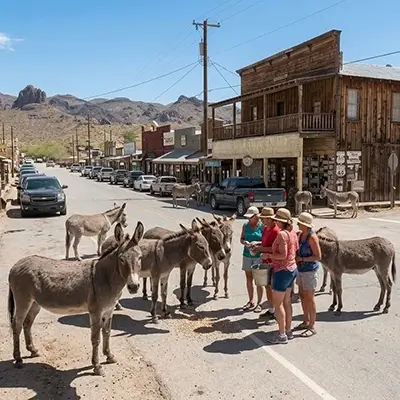Burros salvajes en Oatman, Arizona