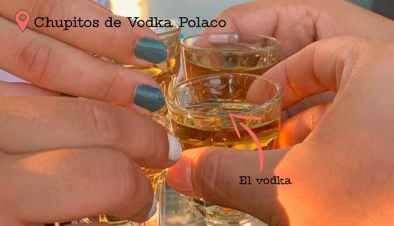 Brindis con Vodka Polaco